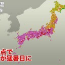 （作業厨）