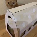 ねこねこパンのお家♪
