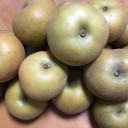 きたーーーうら梨