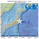 シャッター閉まるか確認してたらコウモリ落ちてきた件。