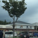 NHK 中川安奈アナウンサー