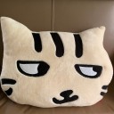 ネコクッションです♪