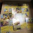 ポケカ　仰天のボルテッカー