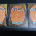 Transmute Artifact・直観・金粉のドレイクの引き取り手募集です。