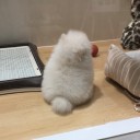 なんて可愛いの