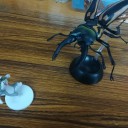 クワガタ