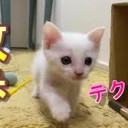 ほのぼの・・・・
