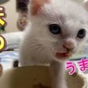 ほのぼの・・・・