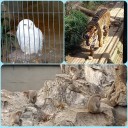 動物園