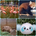 動物園