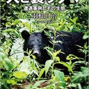諸々の話（11/11）