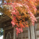 諸々の話（11/16）