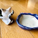 ひたすら、猫