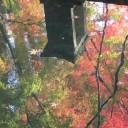 諸々の話（11/17）