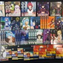 ヴァイスシュヴァルツ　痛いのは嫌なので防御力に極振りしたいと思います。