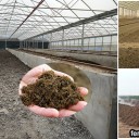 Organic fertilizer high temperature compost fermentation method