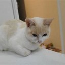 ゆきみちゃん・・・・