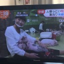 素朴な疑問