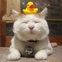 あきらかに・・・