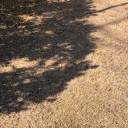 光。
