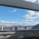 琵琶湖岸初冬
