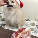ゴールのないクリスマス