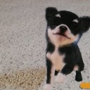 ＴＶの中にいます。