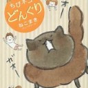 このひとの・・・・