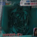 サーモンに隠されたヒミツ未来の養殖その方法とは？