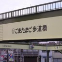 ごまたまご