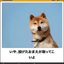 わんわんも!