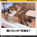 わんわんも!