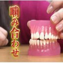 噛み合わせと不調の意外な関係