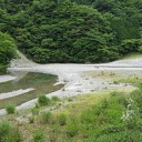 DQNの川流れと揶揄された事故