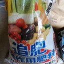 昨年2回も植樹したばかりのジンチョウゲが開花！