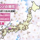 【 諏訪之瀬島 900ｍ 】
