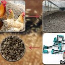 Why buy chicken manure products processed by organic fertilizer production equipment