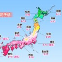 ☆【 国は控訴できず、】☆