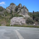今日は午後3時から・・・