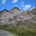 今日は午後3時から・・・