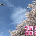 ★【 Ｍ ６ ．２ 】★（宮古島）／★【 桜島 ５，０００ Ｍ 】★／【 福岡 ２５ ℃ 】★