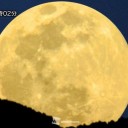 【 満月 】。　（＋夜補遺っ）