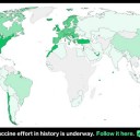 若年者の死亡例が増えている