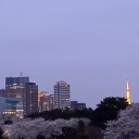 夫、発熱！