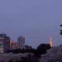 夫、発熱！