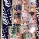 ヴァイスシュヴァルツ　かの仮