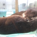 春休み