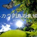 もともとは・・・・