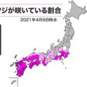★【 朝は放射冷却 】西日本内陸部は氷点下／昼間は ２０℃ 超 ★