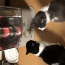 曇っていて少し寒いです。